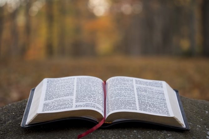 Die beste Nachricht für deine Ohren – jetzt überall und jederzeit / Bibletunes – Die Bibel im Ohr