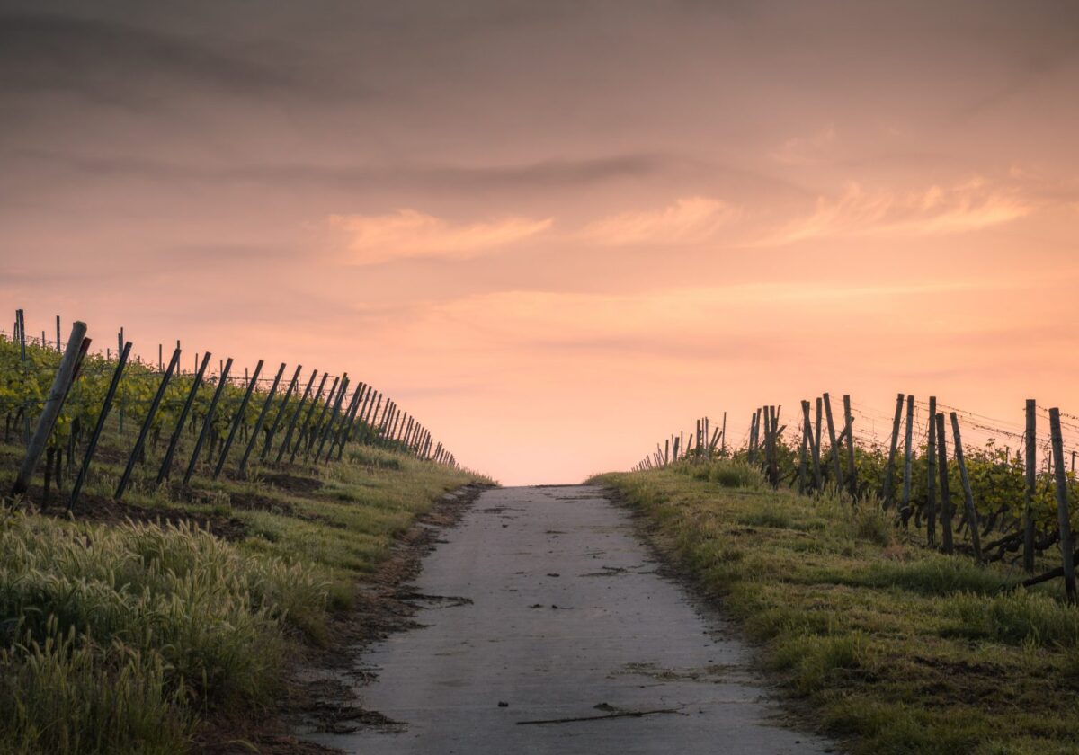Dieser Weg … / … wird steinig und ein Segen sein!