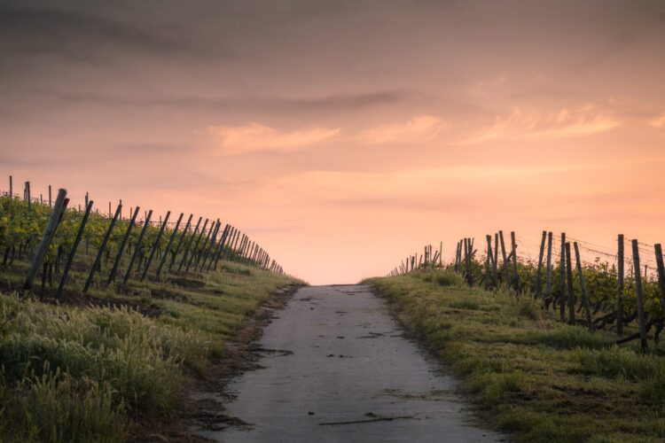  Dieser Weg … / … wird steinig und ein Segen sein!