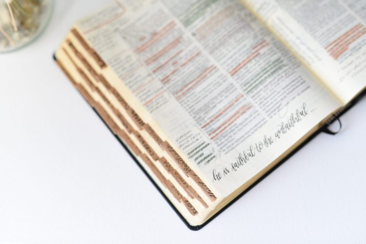 Kann ich der Bibel vertrauen? / Über glaubwürdige Zeugen, zuverlässige Beweise und tragfähige Beziehungen