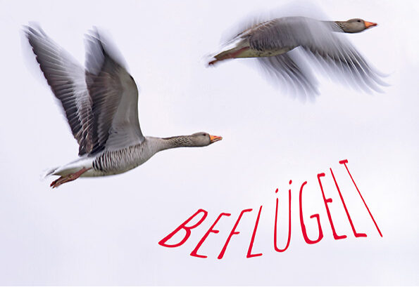 KON 1.2018 beflügelt