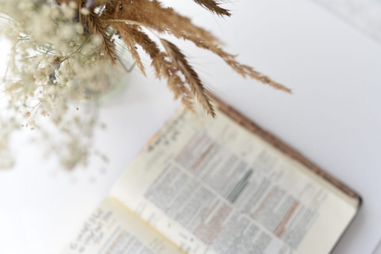 Sola Scriptura – Allein die Bibel