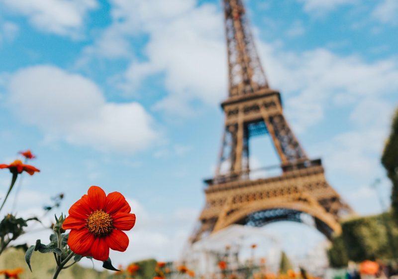  Vive la France - Es lebe Frankreich