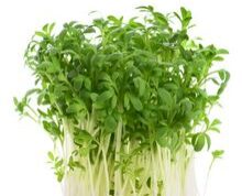 Das Weizenkorn, das in die Erde fällt