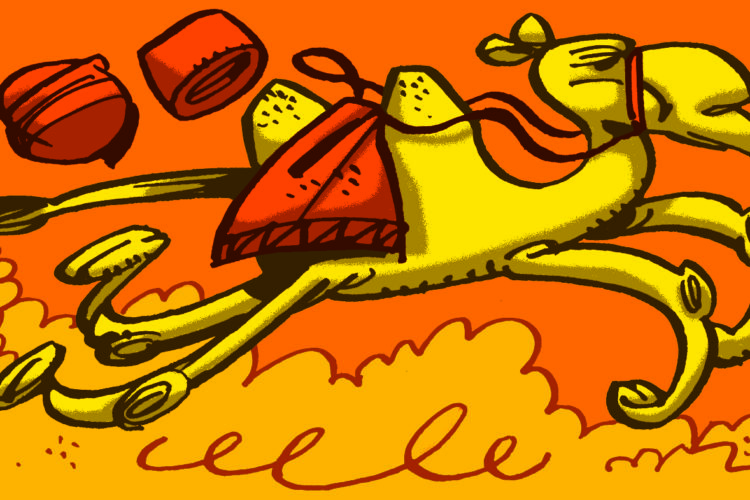 Auf die Kamele, fertig, los!