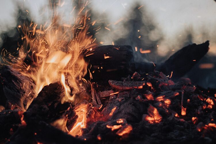  Leckeres Essen am Lagerfeuer