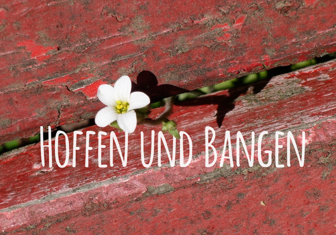 Hoffen und Bangen