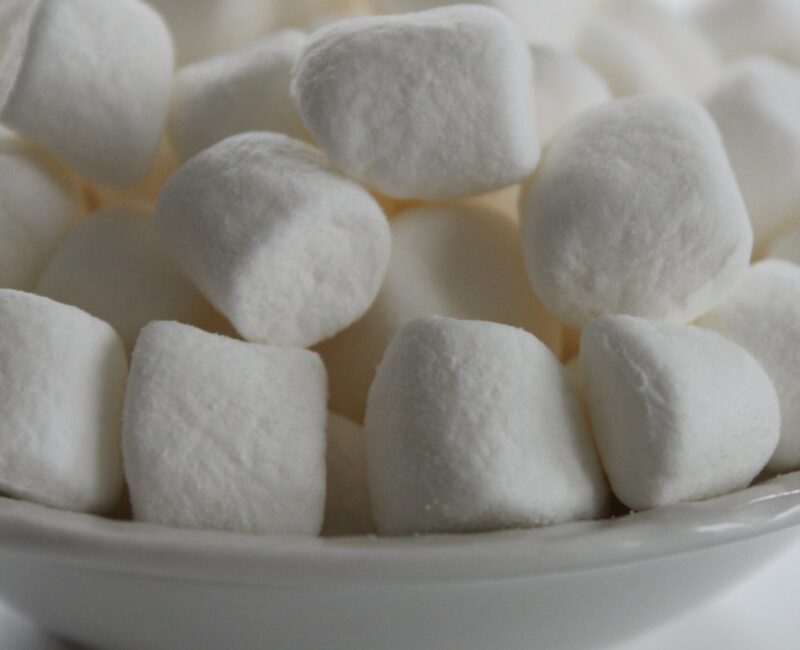 Die Marshmallow-Challenge