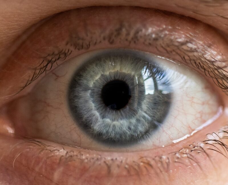 <strong>Du bist ein Gott, der mich sieht</strong>„/>
                        <figcaption class=