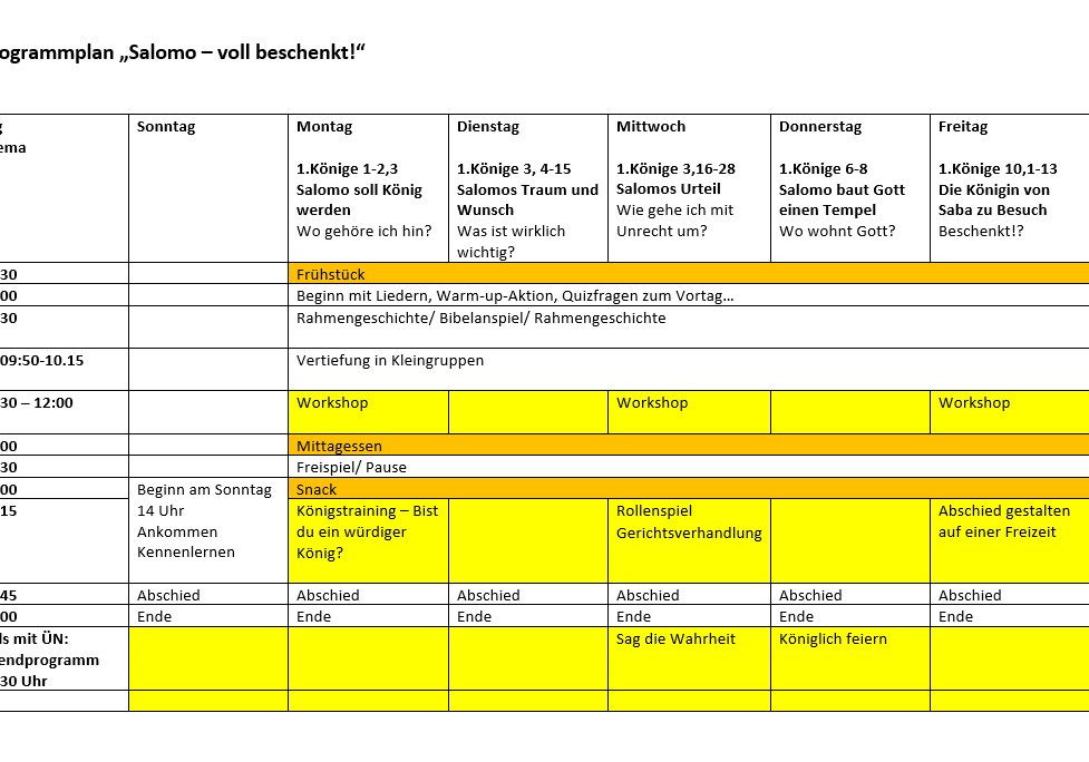  Programmplan Salomo
