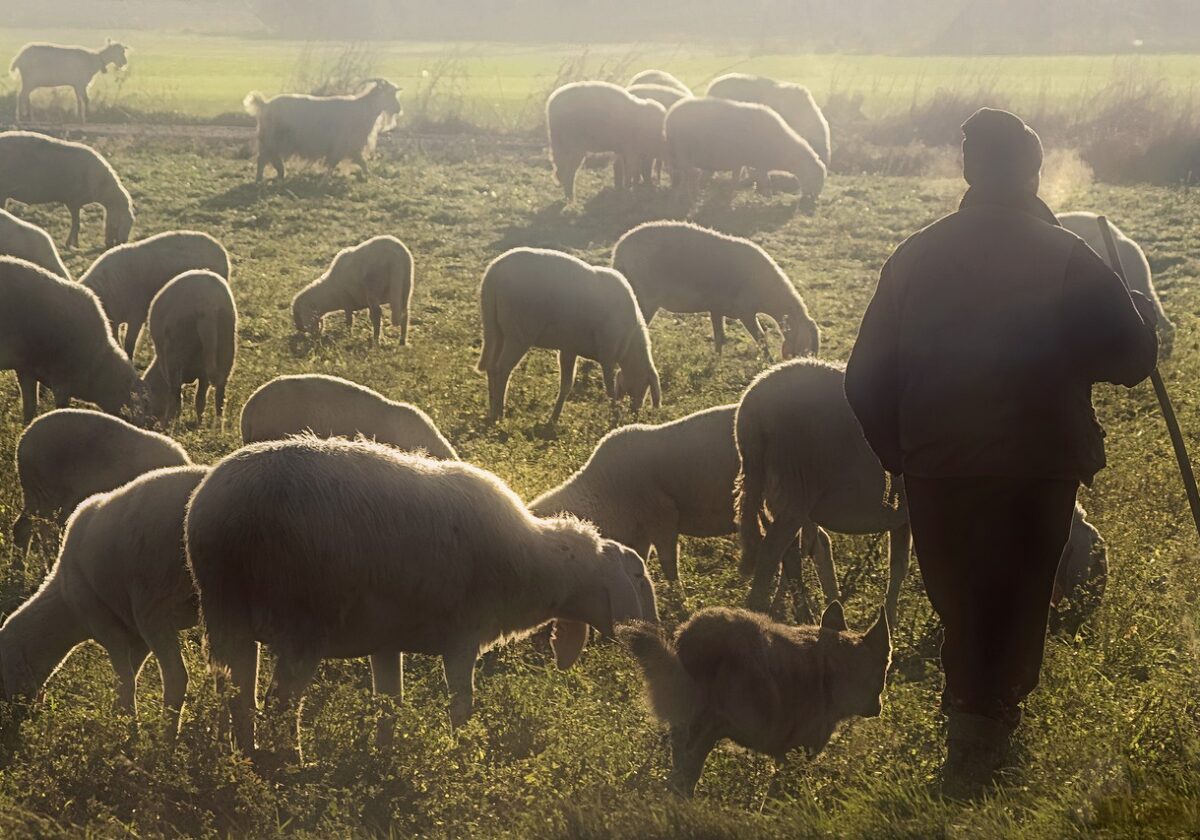  „Der Herr“ – welche Autorität hat Gott in meinem Leben?