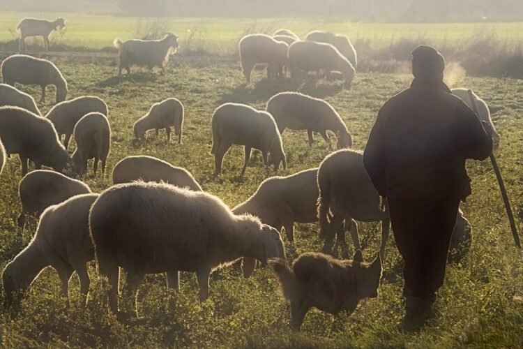  „Der Herr“ – welche Autorität hat Gott in meinem Leben?