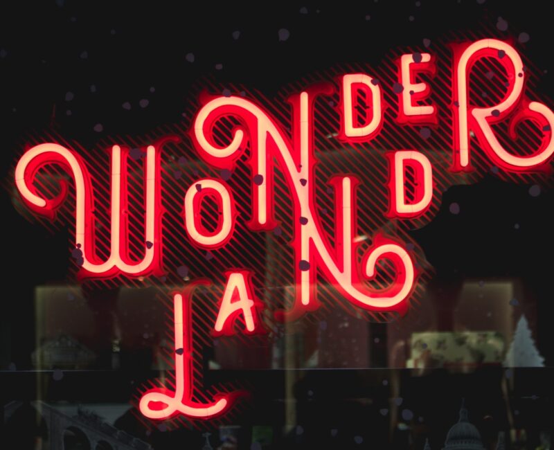 Wunder