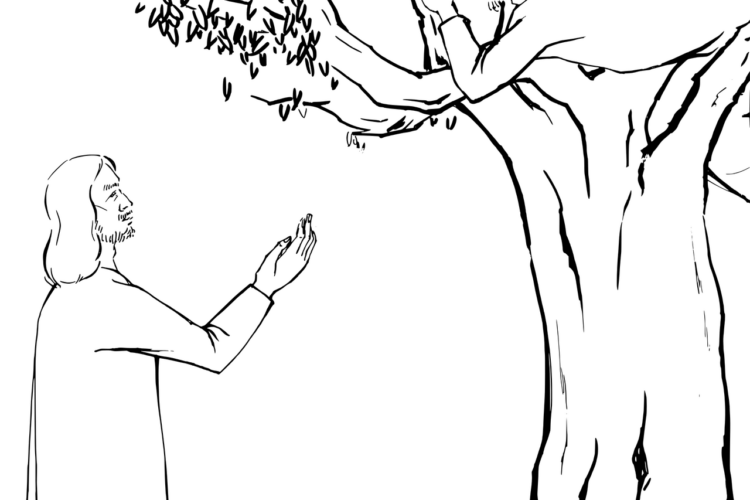  3. Zachäus 