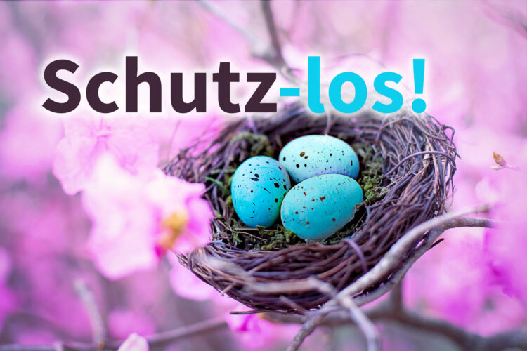 Schutz-Los!