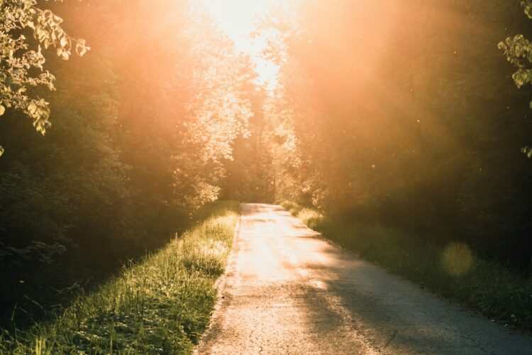  Ich bin der Weg, die Wahrheit und das Leben