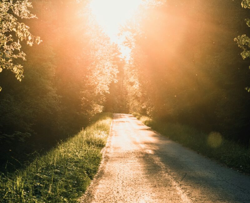 Ich bin der Weg, die Wahrheit und das Leben