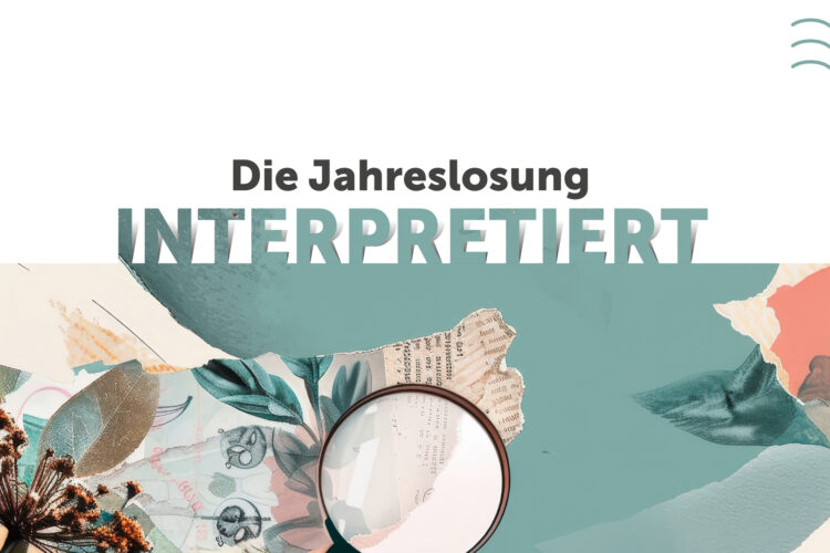  Filmempfehlungen des Ökumenischen Medienladens