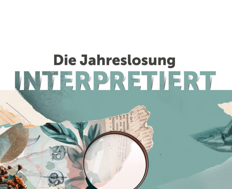 Filmempfehlungen des Ökumenischen Medienladens