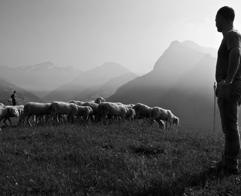 7. Petrus bekommt einen neuen Auftrag