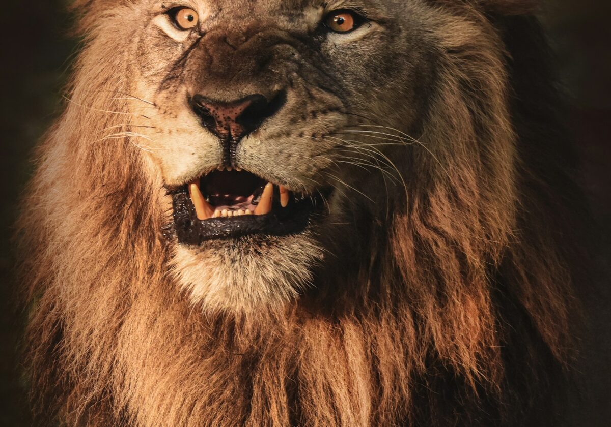  5. Daniel und die Löwen