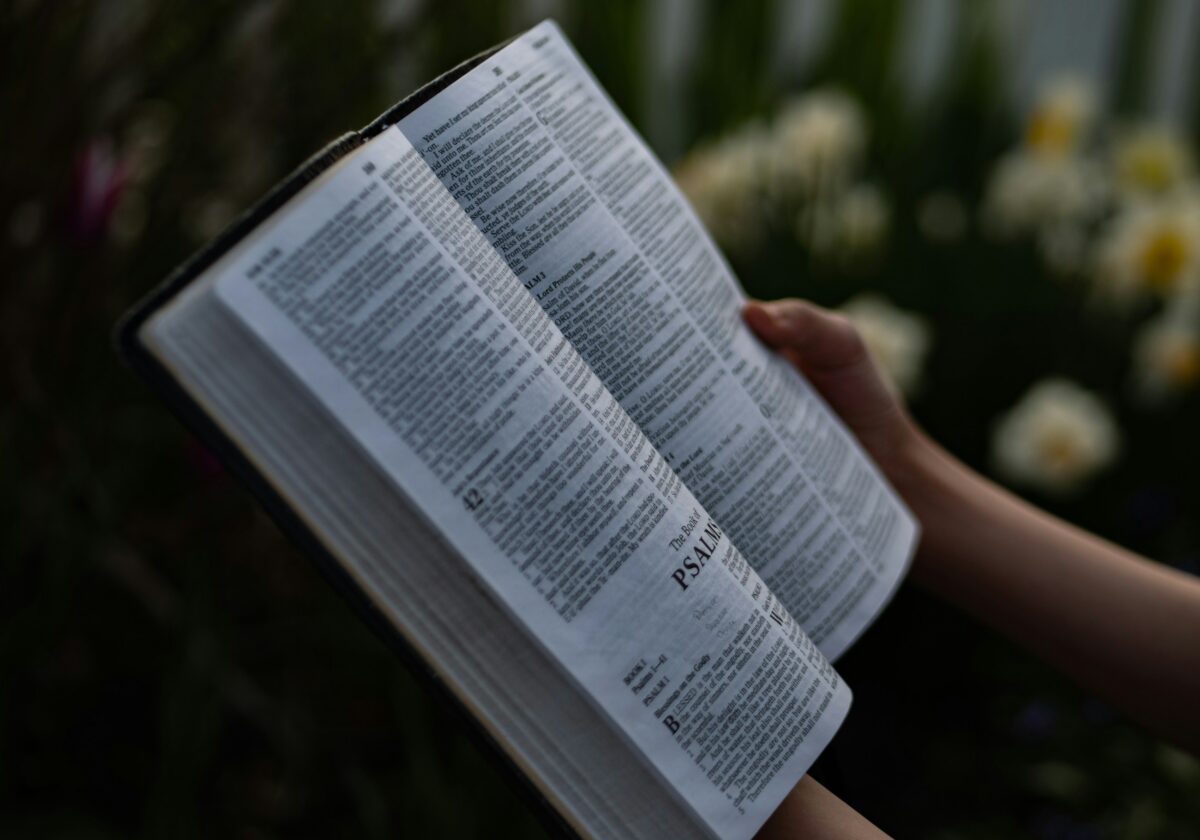  Lectio Divina 