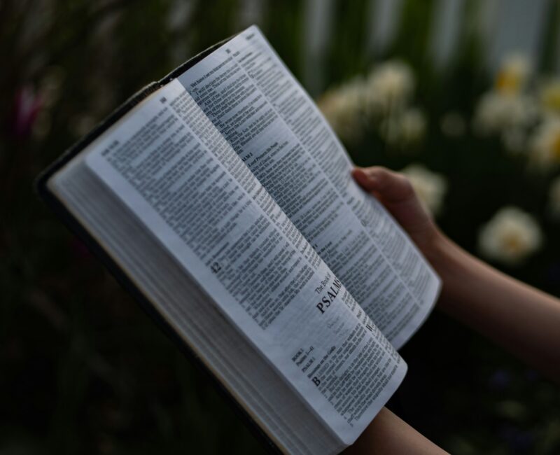Lectio Divina 