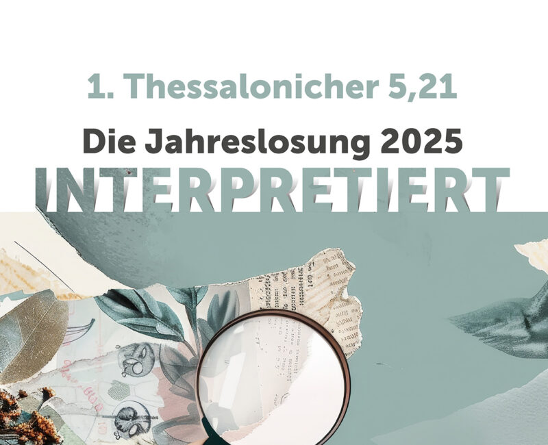 Filmempfehlungen des Ökumenischen Medienladens