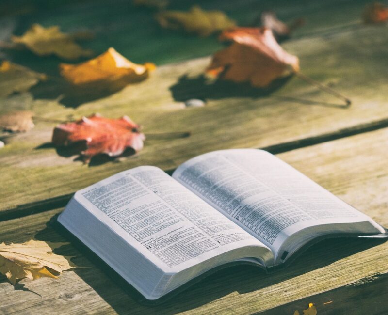 Schöpfung in der Bibel