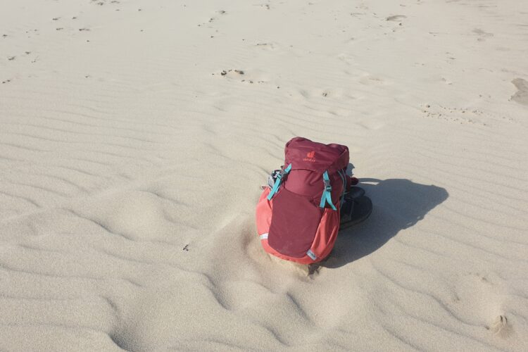  Schule – und was dann?