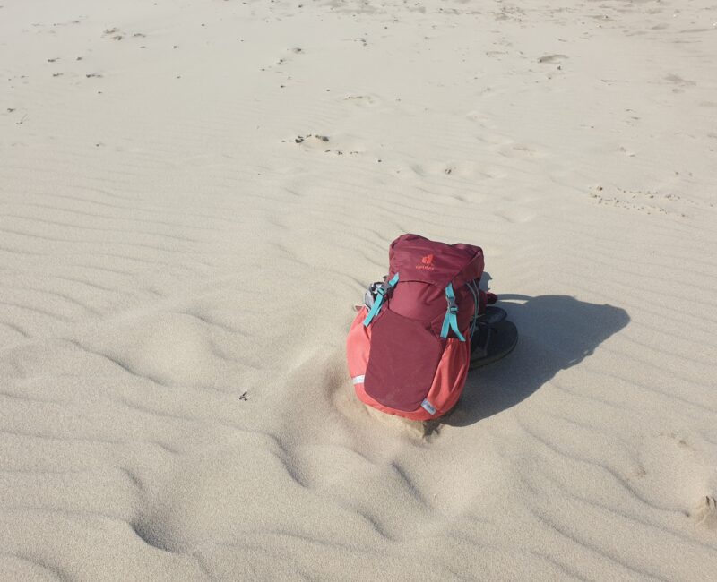 Schule – und was dann?