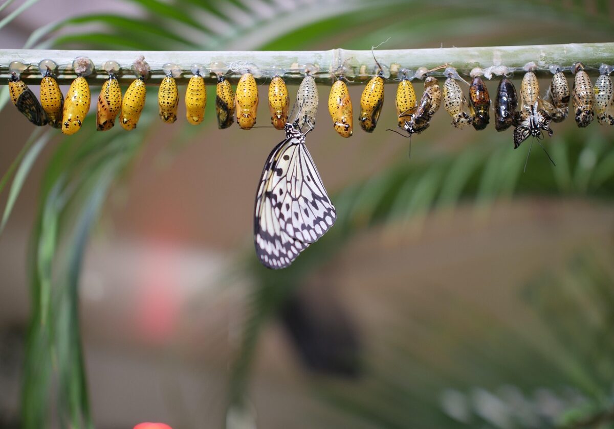  Gottes Geist - verwandelnde Kraft