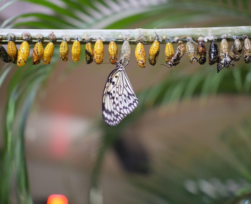 Gottes Geist - verwandelnde Kraft