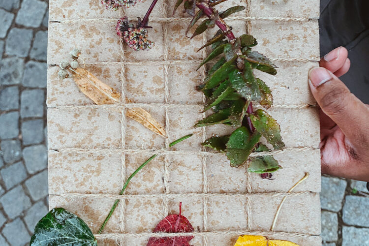  Eingewoben in die Natur