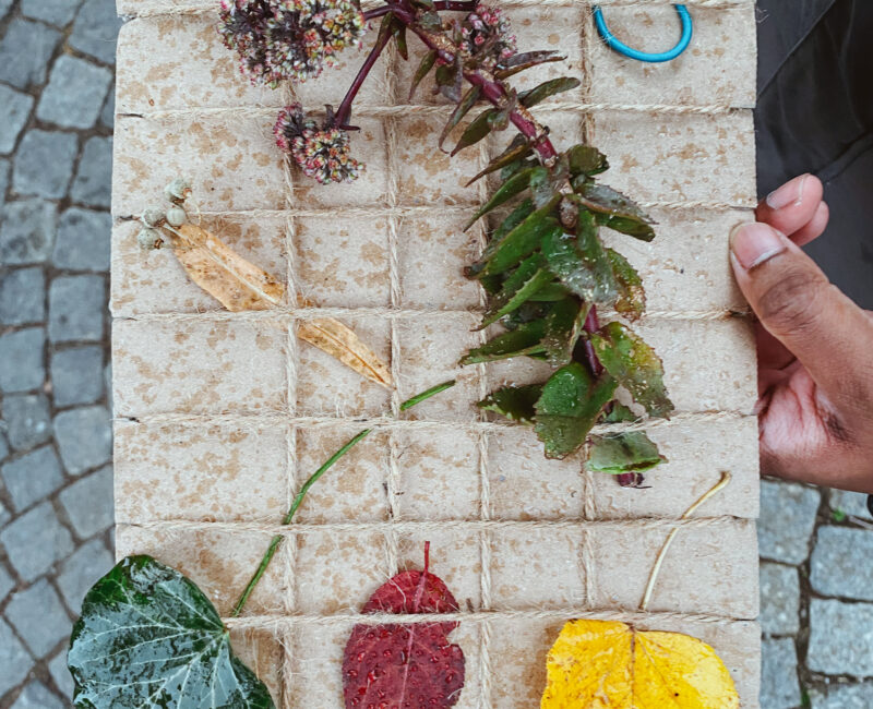 Eingewoben in die Natur