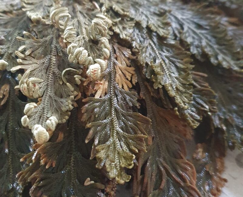 Karsamstag: unterwegs zum Neuen