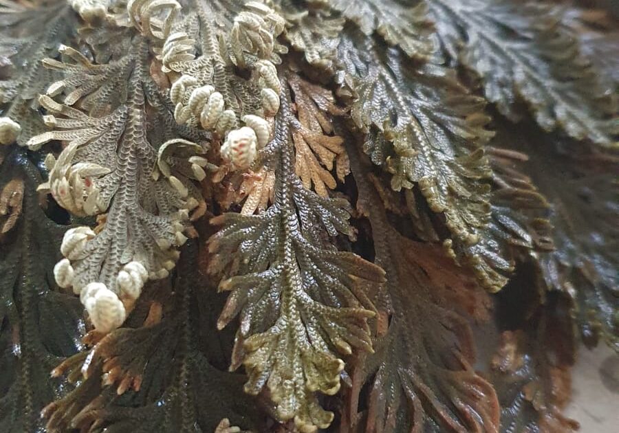 Karsamstag: unterwegs zum Neuen