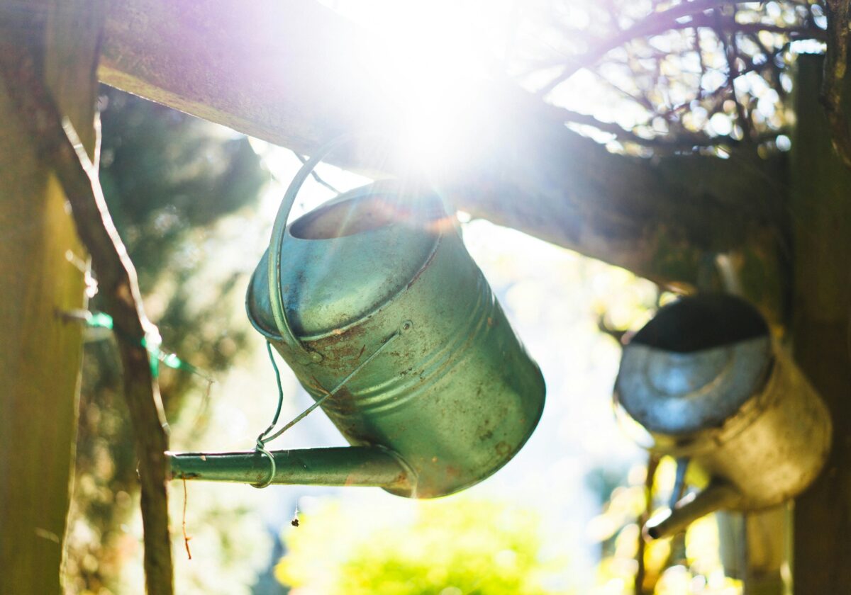 Aus der Gießkanne des Lebens