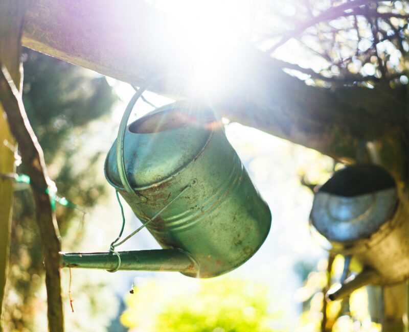 Aus der Gießkanne des Lebens