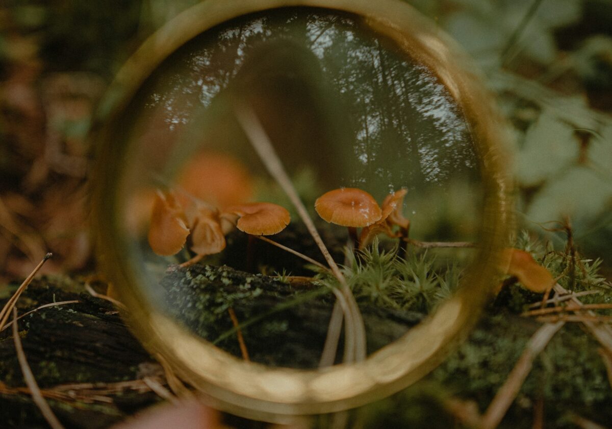 Wahrnehmungsgebet: Das Leben in und um uns