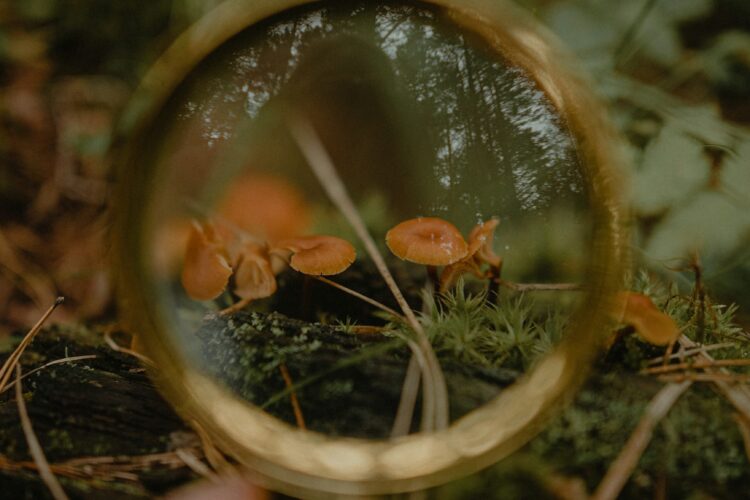  Wahrnehmungsgebet: Das Leben in und um uns