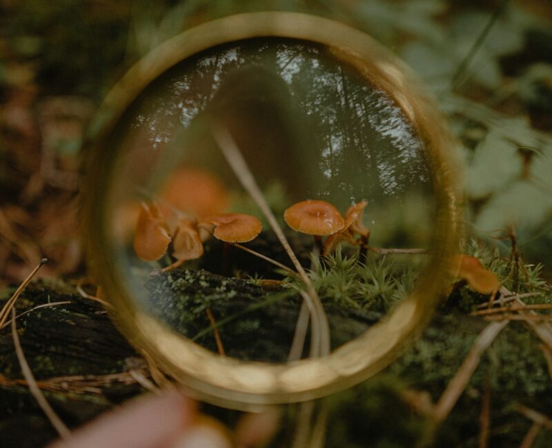 Wahrnehmungsgebet: Das Leben in und um uns