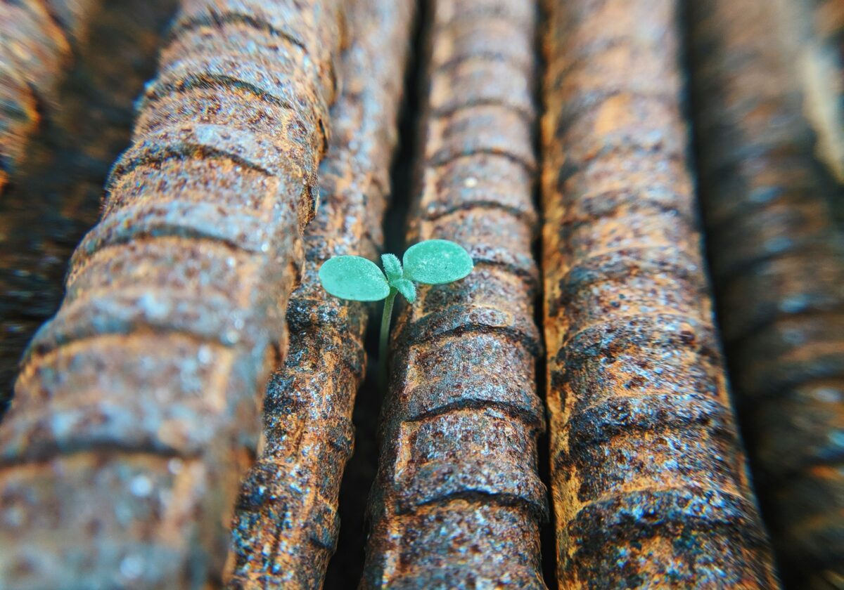 Hoffnung auf Gottes Gerechtigkeit