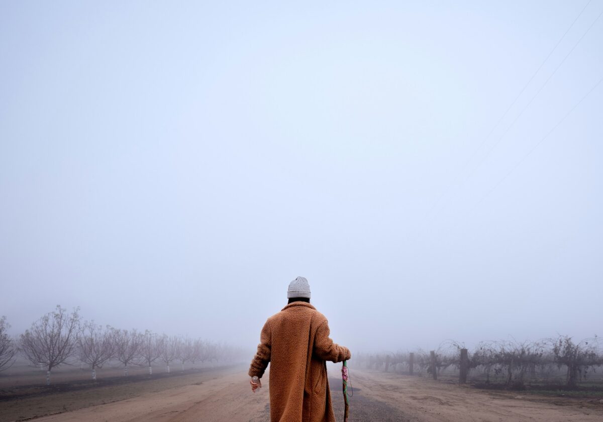 1. Elia beruft Elisa