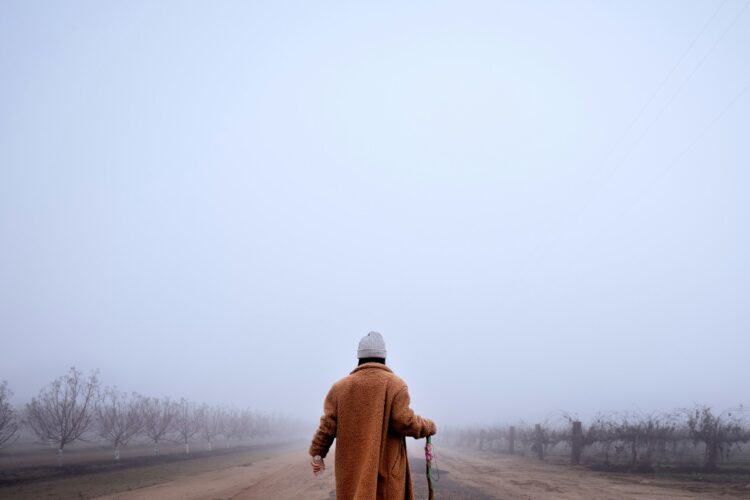  1. Elia beruft Elisa