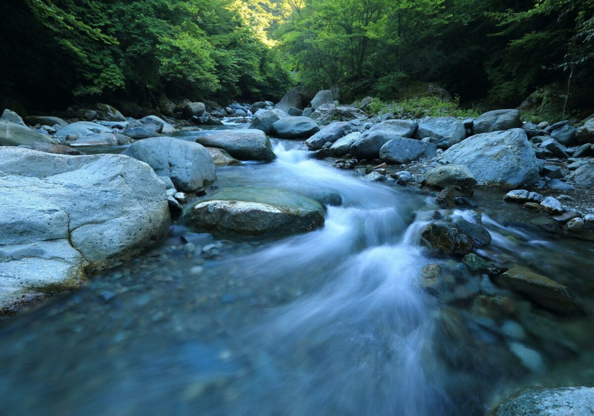 lebendiges Wasser oder Matschbrühe