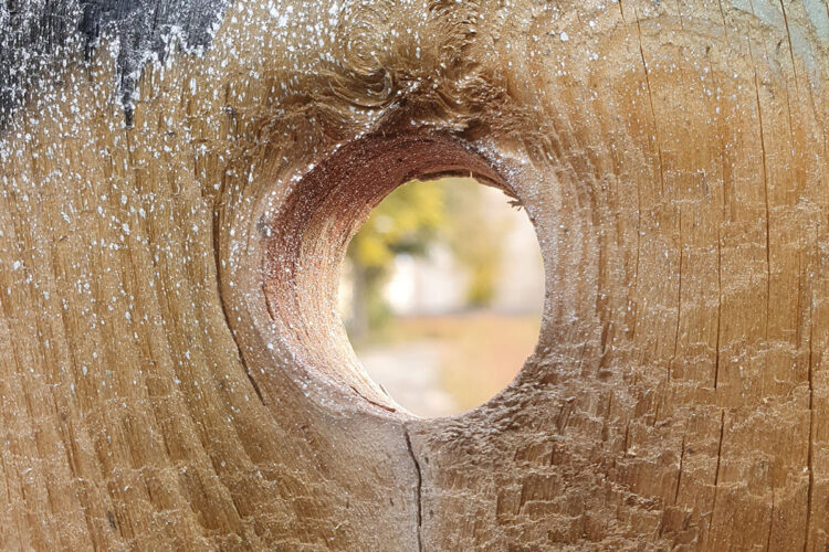  Was ist Glaube?