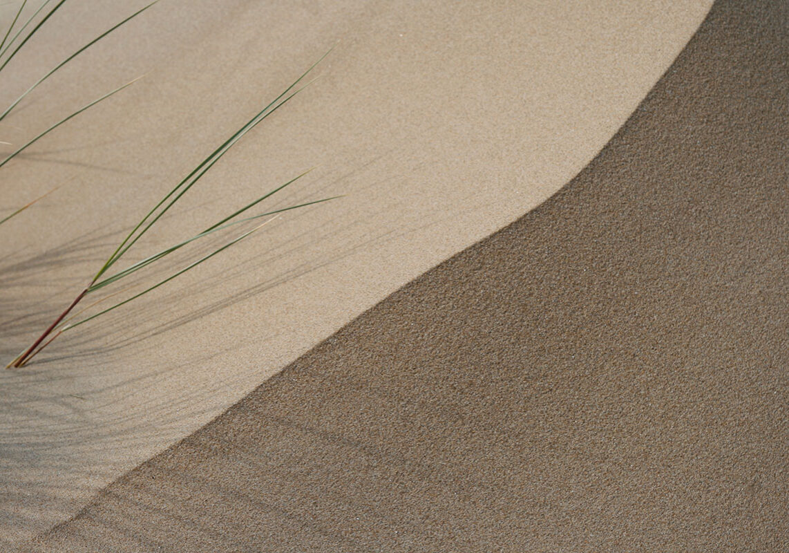  Vom Wert des Sandkorns – Psalm 8