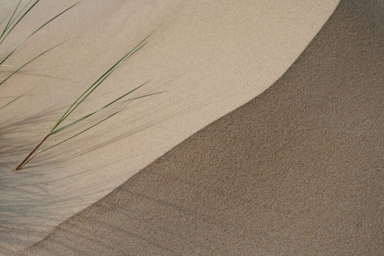  Vom Wert des Sandkorns – Psalm 8