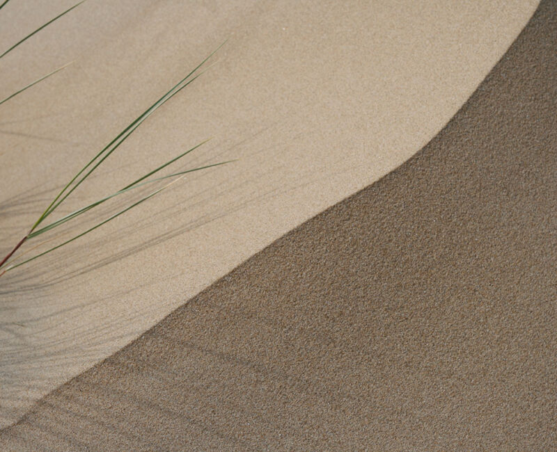Vom Wert des Sandkorns – Psalm 8